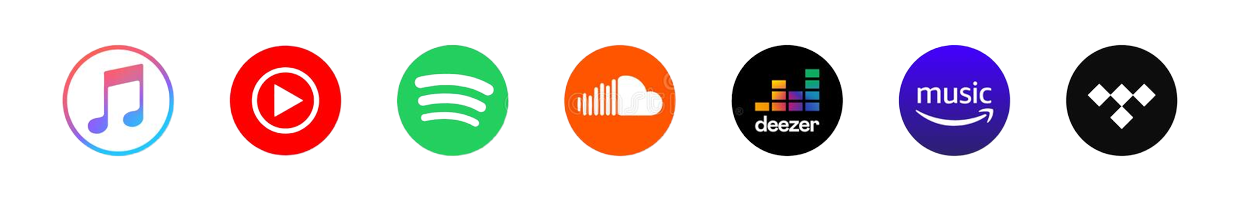 Music Platform PNG Icon