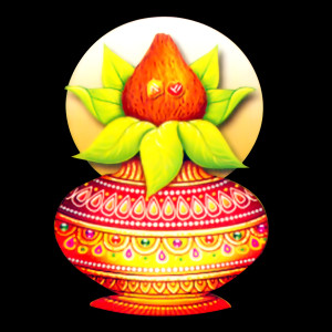 Bhojpuri Devi Bhajan Png Image (6)